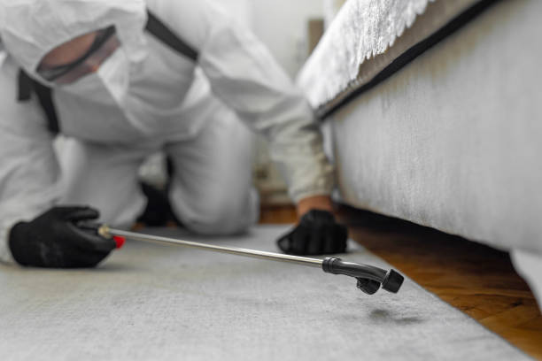 Professional Bed Bug Control technician working in Indianola, IA