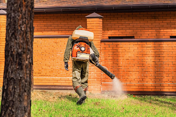 Trusted Mosquito Control service in Indianola, IA - Nex Pest Control